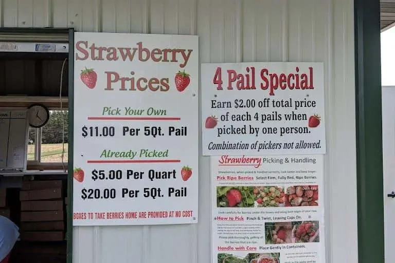 representative photo for Strawberry Picking Farms in Wisconsin
